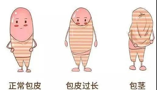 【保山安利醫(yī)院】家長速看！暑期包皮手術(shù)預(yù)約正當(dāng)時(shí)！